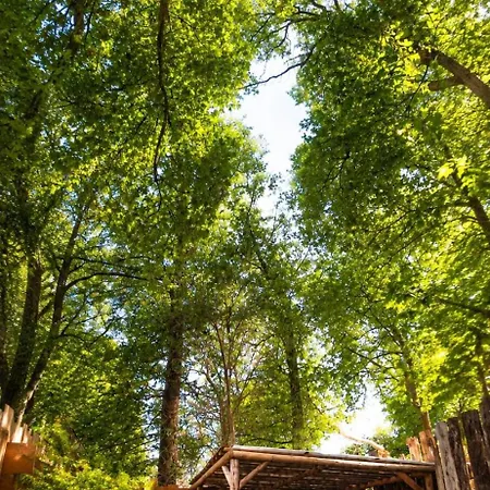 Secret Forest & - Fontainebleau Bourron-Marlotte