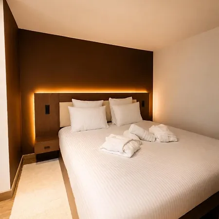 Secret Forest & - Fontainebleau